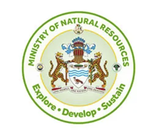 NIS Logo